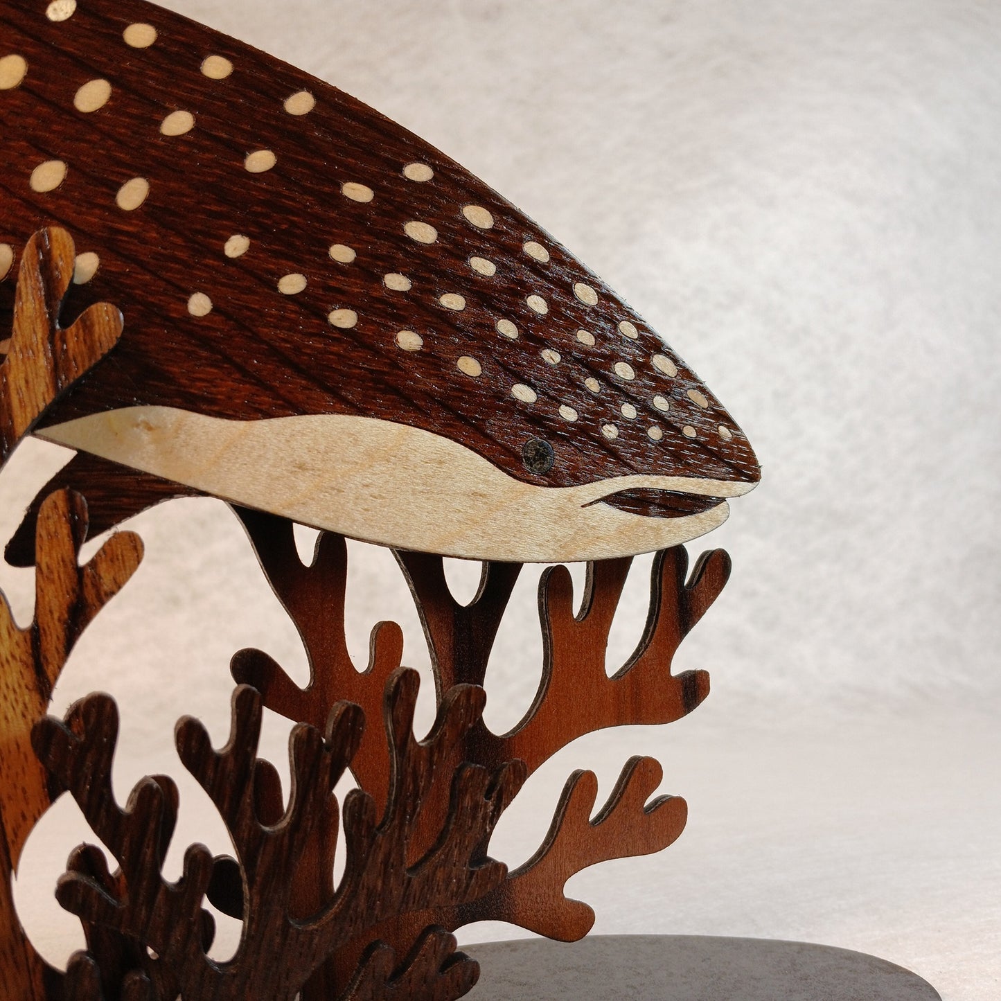 Baleine-Lagon — Diorama corail & baleine