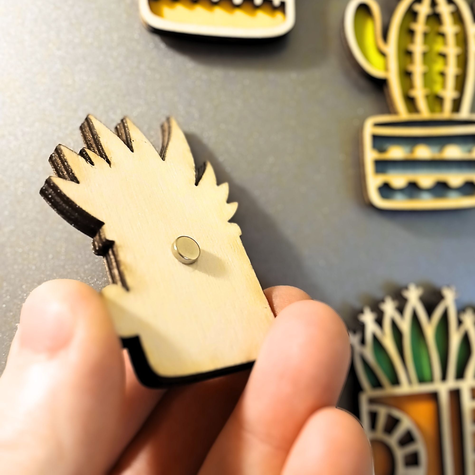Magnet Cactus