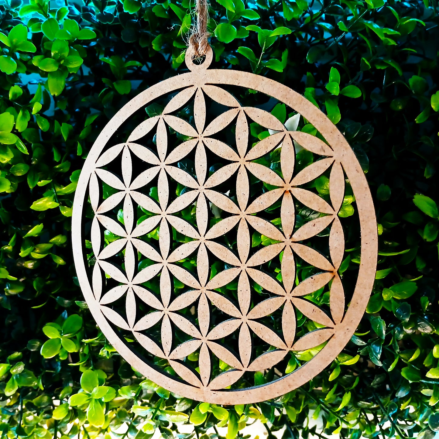Fleur de Vie en Bois – Suspension Murale 13 cm