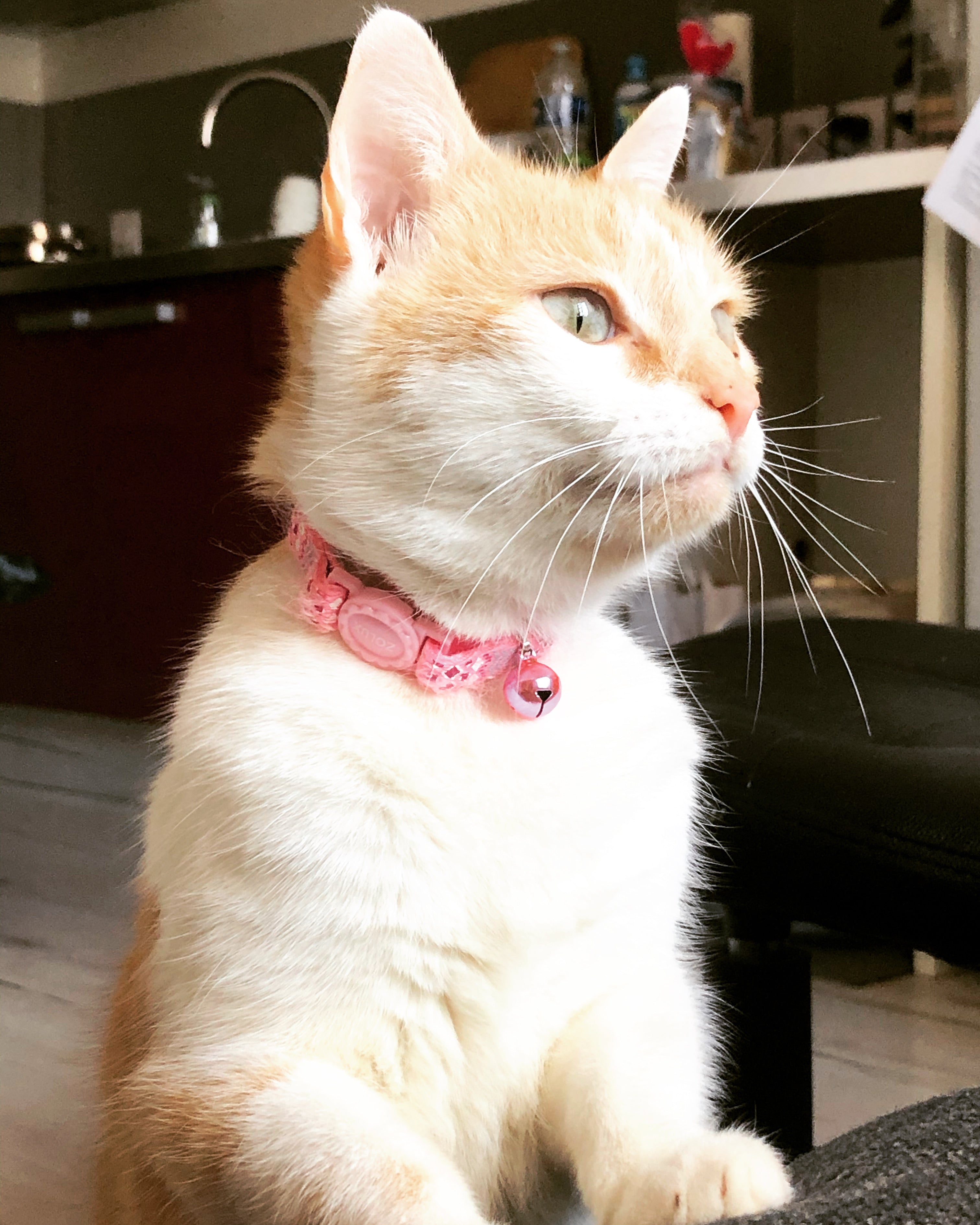 Cadre hommage personnalisé