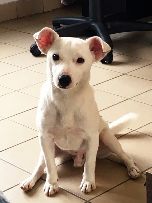 Cadre hommage personnalisé